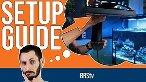 Set up your new EcoTech Marine Radion over your tank right the first time! Today, Thomas is walking you through setting up your new aquarium light from start to finish, along with giving out some handy tips. From mounting to programming, BRStv has you covered! Find all EcoTech Marine Radions LEDs and mounting options at Bulk Reef Supply: https://www.bulkreefsupply.com/aquarium-lighting/aquarium-led-lighting/ecotech-radion.html | Bulkreefsupply.com - Saltwater Aquarium Supplies | Facebook