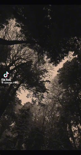 Video di vicky (@vickyrussoo) con audio originale - vicky