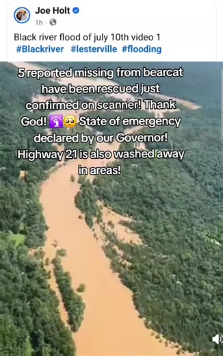 Prayers! #blackriver #Missouri #flooding #SEMO #rescues | Animal Rescue