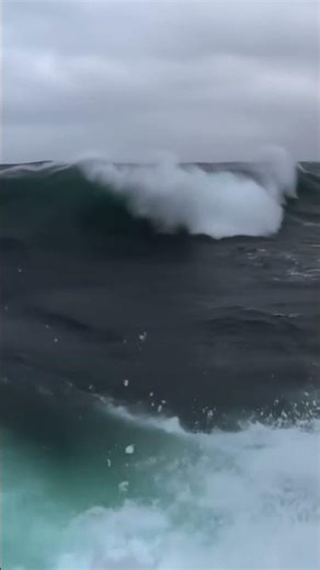 My heart literally stopped when I saw this wave #terror