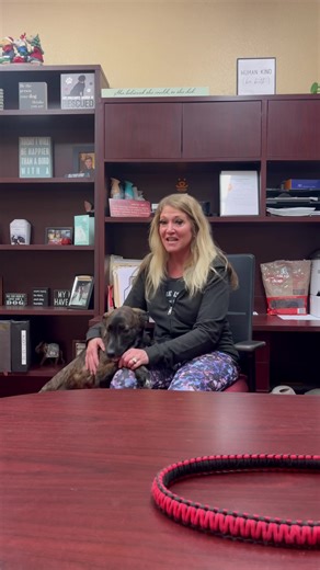 7.1K views · 330 reactions | We’ve been challenged by Pima Animal...