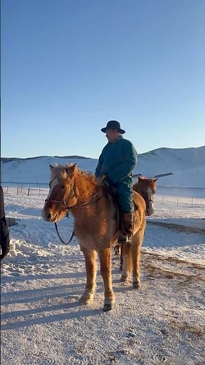 モンゴル 雪原 元旦 ノマド 2026.1.1. 遊牧民族生活体験 #さよ旅 #Sayo旅 #sayotabi