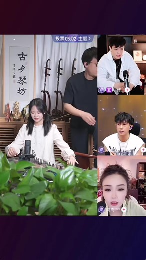 Experience Traditional Chinese Music with Erhu Performance