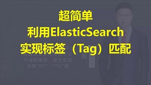 【IT老齐452】利用ElasticSearch实现标签（Tag）匹配_哔哩哔哩_bilibili