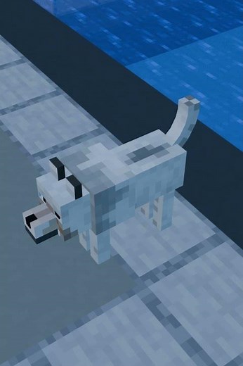 Wolf stand up large circle tail wag - Random MC Animation - Minecraft Animation