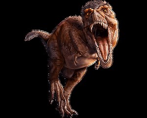 Explore and Learn Online with the American Museum of Natural History