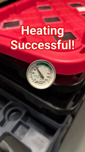 It WORKED! Thermal Worm Bin vs. Cold Basement 🌡️