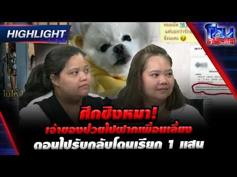 ศึกชิงหมา! เจ้าของป่วยไปฝากเพื่อนเลี้ยง ตอนไปรับกลับโดนเรียก 1 แสน | Highlight l#โหนกระแส