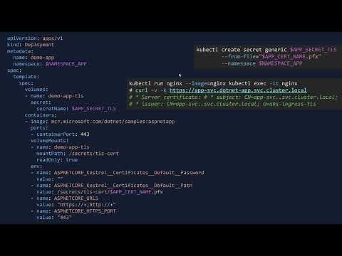 TLS certificate for Kubernetes Pod