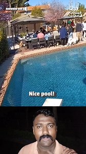 128K views · 266 reactions | DOGS Running Across SWIMMING POOLS Is...