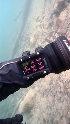 Safety Stop with the Garmin X50i Dive Computer | Testing the Latest Dive Tech #garmin #x50i