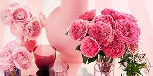 The Best Flowers to Give Instead of Red Roses This Valentine's Day