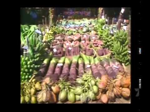 Kingdom of Tonga documentary in Vava'u in the 90's