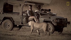 For the past 30 years Dereck and Beverly Joubert (Dereck and Beverly Big Cat Conservation) have dedicated their lives to protecting Africa's wildlife. Hear the Jouberts talk about their passion and the incredible accomplishments they have made in the fight to save these magnificent animals. | National Geographic Live