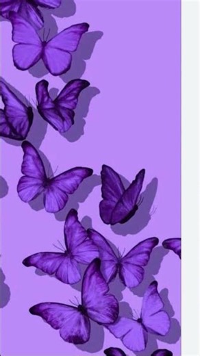 cute asthetic purple wall papers