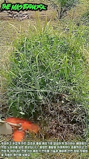 벌초와 예초 작업 전 필수 시청! 잡초 밑동 자르기 노하우 #worker #process #weedcutter #safety #tutorial