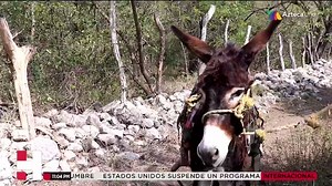 180K views · 1.1K reactions | #ElOtroMéxico @carolina_rocha_ nos muestra el patrimonio de Jala, Colima | Azteca Noticias | Facebook