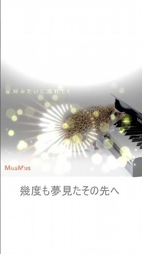 星屑みたいに流れてく / MusMus