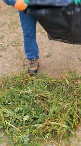 20M views · 204K reactions | Simple garden hacks that really work | 5-Minute Crafts Green | Facebook