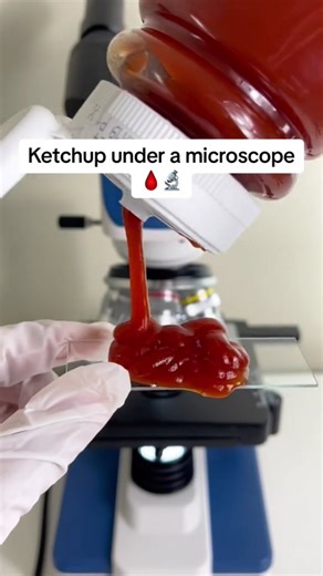 Things Under Microscope on Instagram: "Unlock a hidden world 🔬—discover the fascinating beauty of everyday things under the microscope! #MicroscopeMagic #HiddenWorlds #MicroBeauty #UnderTheScope #ScienceIsCool #CloseUpView #TinyUniverse #MicroWonder #ScienceDaily #ZoomedIn #MicroscopyLove #EverydayScience #AmazingDetails #MicroLife #InvisibleWorld"