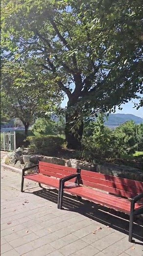 충북 충주 한국자활연수원에서 올해 처음 시행하는 버섯종균기능사 실기 시험장 #버섯 #기능사