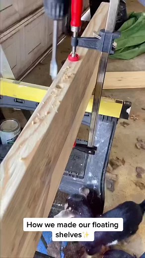 How we built our floating shelves with no exposed brackets✨ #diy #diyproject #floatingshelves #tnliving #carthagetn #tennesseeliving #diyprojects #diyhomedecor #husbandwifediy #farmlife #farmliving #farmlife #howto #howtobuild #shelves #diyshelves #diyfloatingshelves