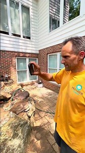 Three Very Different Backyard Streams...😍🌊