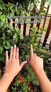 Ez a gyakorlat egyszerre aktiválja a bal és a jobb agyféltekédet, így fejleszti az idegi kapcsolatok gyorsaságát és az agyféltekék közti kommunikációt. 🧠 Segít abban, hogy könnyebben válts gondolkodási módot, gyorsabban reagálj, és javuljon a koncentrációd is. 💡 Rendszeres gyakorlással érezhetően nő a figyelem, a memória és a mentális frissesség! 💪 | Dr. Tóth Alexandra