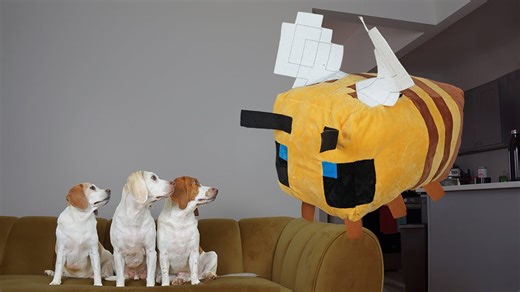 Dogs chase giant Minecraft bee and paw at buzzing block