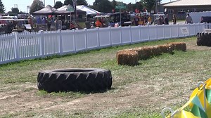 There is something for everyone at the 2021 Farm Progress Show. Equipment demonstrations, technology, and ag education are just a few of the top sights to see at the show. Join us from August 29 - Sept 1, 2. Grab your tickets today. https://bit.ly/3huTM9j | Farm Progress Show