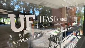 Pinellas County votes to continues partnership with UF/IFAS