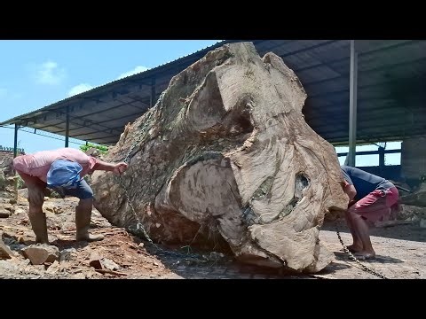 processing old, abandoned, messy wood with a smart saw