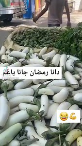 😂😂😂😂 اعمل زي ناس عارف والله 😂 | Ahmed El Nady