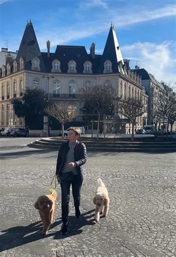 Understanding Cobberdogs and Labradoodles: A Guide