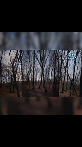6 Fakta Tempat Paling Misterius Di Dunia Yang No 6 Dari Indonesia! #faktadunia #misteri #beritaviral #viral | Baim Pranata