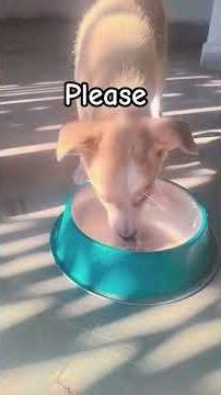 🧿🙏🥺😭😢👍