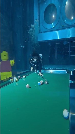 Experience the magic of Deep Dive Dubai, the home of the deepest pool in the world.🌊🌎