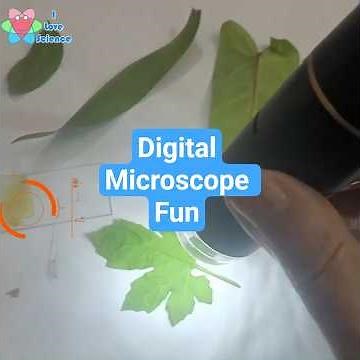 Digital microscope fun activities: #shorts #experiment #microscope
