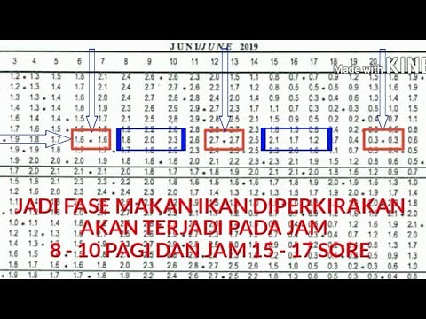 Cara membaca tabel pasang surut air laut lengkap dan mudah untuk pemula