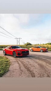8.2K views · 205 reactions | 2024 Mustang GT or Shelby GT350? @kfletchphotography#shelby #shelbygt350 #mustang #mustanggt #ford | Mustang Passion | Facebook