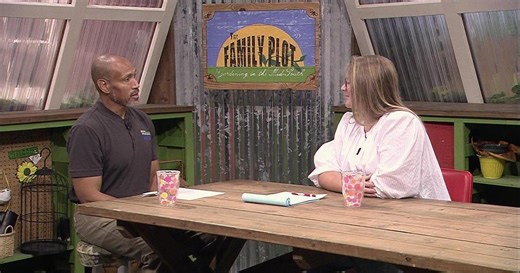 The Family Plot:Considerations for Raised Beds & Treating for Crape Myrtle Bark Scale Season 17 Episode 7