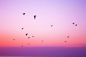 No Response Can Still Be A Response To Your Ex