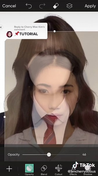 Tutorial on DIY 2x2 Picture Editing for ID