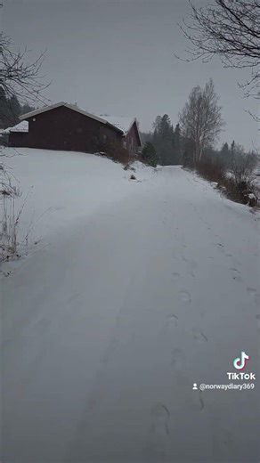 Late Winter In Norway