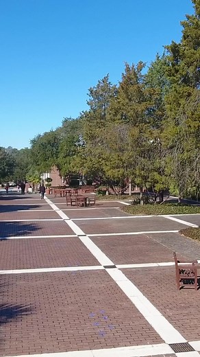 On the eve of graduation, allow us to introduce five of our graduates - Terrian Gillette, Brianna King, Katelyn Liszynai, Zykeria Moultrie, and Sharon Pridgen - as they share their gratitude, opportunities for growth, and optimism for the future. Enjoy this note from the Class of 2022 before they embark on their new adventures. Congratulations, graduates! You did it. #GoKoalas #CCofSC 👏🎓 | Columbia College, SC