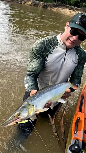 𝘼𝙣𝙙𝙚𝙧𝙨𝙤𝙣 𝙂𝙪𝙚𝙙𝙚𝙨 on Instagram: "Esse peixe me fez passar vergonha! Podem rir a vontade! 😂 Itens usados nessa pescaria Vara Curado Brasil 12 libras com Molinete Stella 3000 @shimanobrasilpesca Linha 16x Marfin 30 libras @fishermans.com.br Caiaque Açu 105 @hidro2eko Vestimentas @presavivacamisetas Remo angler pro @bending_branches Isca Kripton @iscascmc #fishing #pegadinha #caiaque"