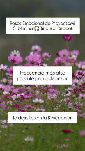 ProyectoMi on Instagram: "🎧Tips DetoxTime de ProyectoMi: Subliminal & Binaural Healing Escucha, leé las frases con fe y usa Audífonos. Te sugiero hacerlo en ayunas, justo cuando despiertas. En este estado, tus ondas cerebrales vibran en modo Alpha/Theta, el sweet spot perfecto para resetear tu Mindset, reprogramar el subconsciente y desinstalar tus conceptos limitantes. Headphones🎧MUST: Este audio integra Frecuencias Solfeggio 963Hz, sonidos binaurales y tecnología 3D. Los audífonos garantizan