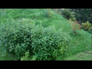 20 foot storage containers