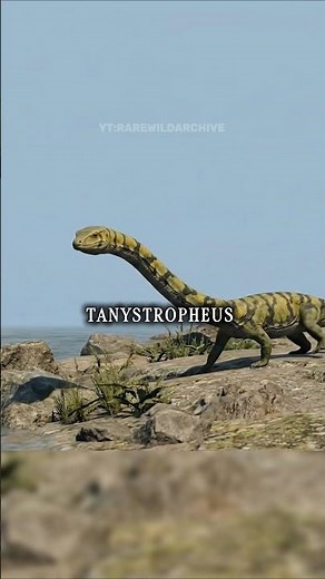 Hidup di Darat atau Air? 100 Tahun Ilmuwan Bingung! 🤔