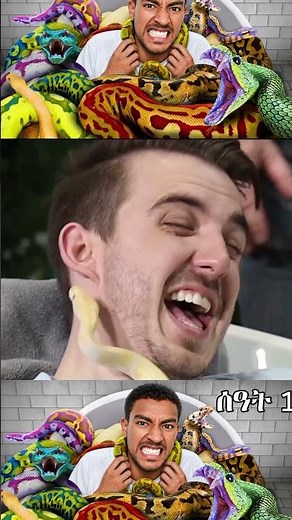 ለ20,000 ዶላር በእባብ ላይ ትቀመጣለህ? | Would You Sit on a Snake for $20,000? #challengevideo #mrbeaststyle